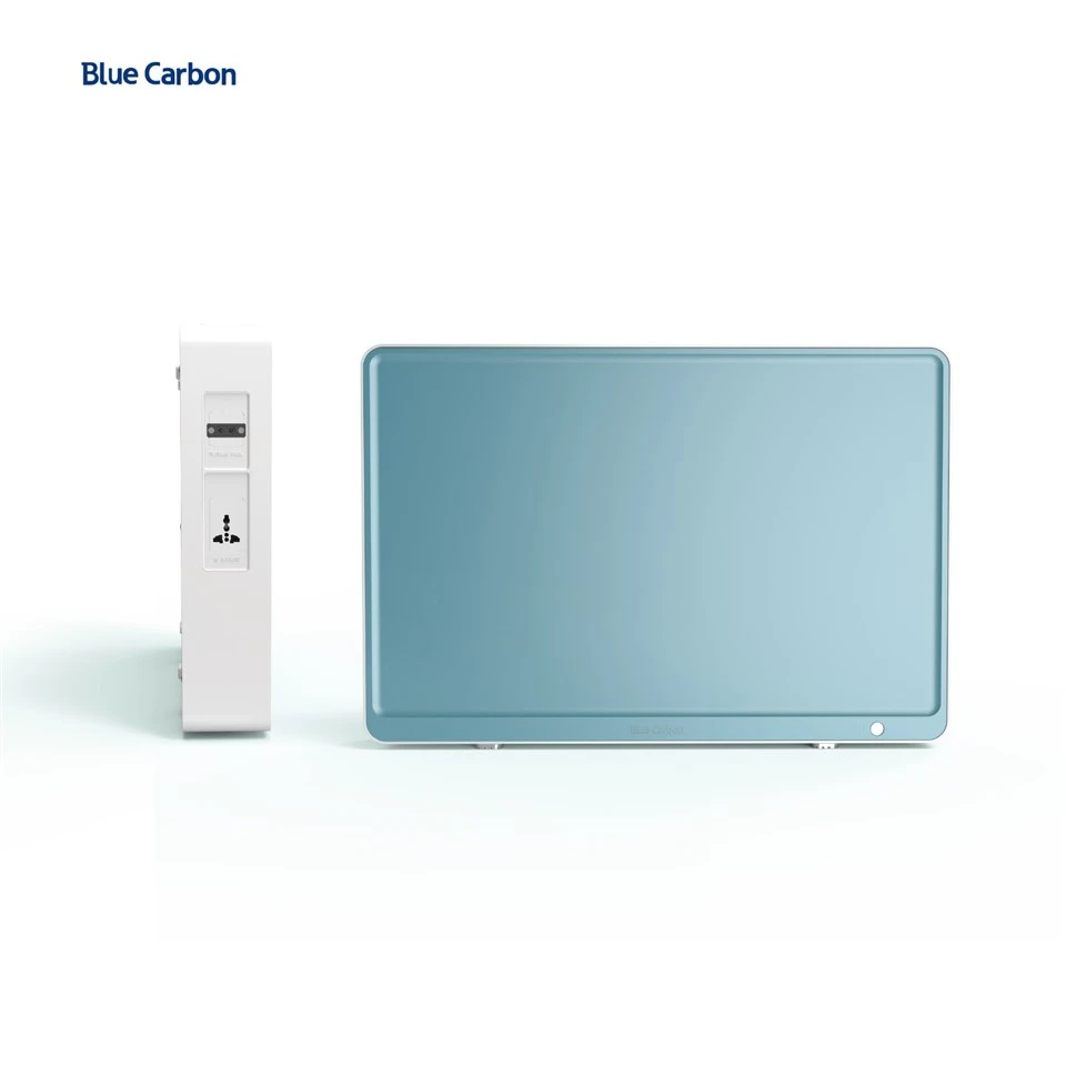 Solar Home System Carbon Box